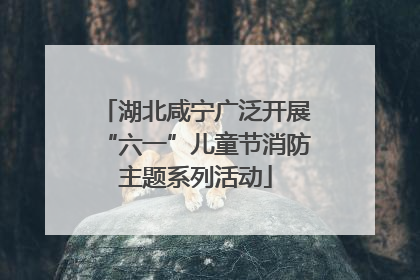 湖北咸宁广泛开展“六一”儿童节消防主题系列活动