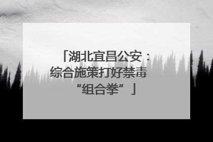 湖北宜昌公安：综合施策打好禁毒“组合拳”