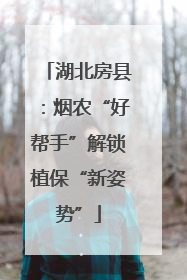 湖北房县：烟农“好帮手”解锁植保“新姿势”