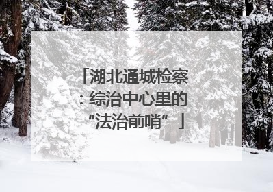 湖北通城检察：综治中心里的“法治前哨”