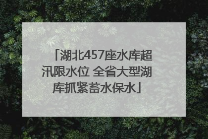 湖北457座水库超汛限水位 全省大型湖库抓紧蓄水保水