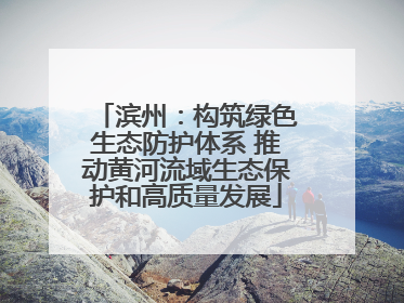 滨州：构筑绿色生态防护体系 推动黄河流域生态保护和高质量发展