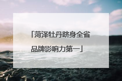 菏泽牡丹跻身全省品牌影响力第一