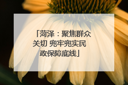 菏泽：聚焦群众关切 兜牢兜实民政保障底线