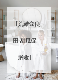荒滩变良田 甜瓜促增收