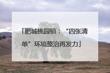 肥城桃园镇：“四张清单”环境整治再发力