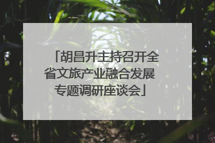 胡昌升主持召开全省文旅产业融合发展专题调研座谈会