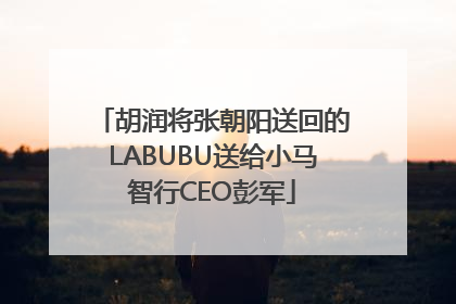 胡润将张朝阳送回的LABUBU送给小马智行CEO彭军