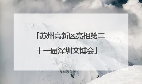 苏州高新区亮相第二十一届深圳文博会