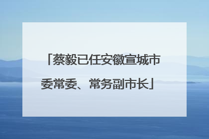 蔡毅已任安徽宣城市委常委、常务副市长