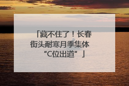 藏不住了！长春街头耐寒月季集体“C位出道”