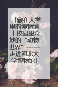 藏在大学里的博物馆丨校园里奇妙的“动物世界”——走进河北大学博物馆