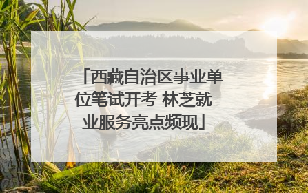 西藏自治区事业单位笔试开考 林芝就业服务亮点频现