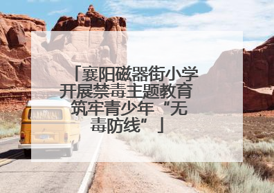 襄阳磁器街小学开展禁毒主题教育 筑牢青少年“无毒防线”