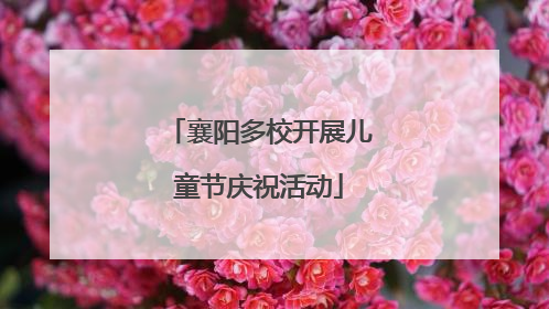 襄阳多校开展儿童节庆祝活动