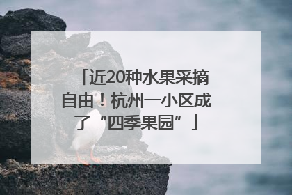 近20种水果采摘自由！杭州一小区成了“四季果园”