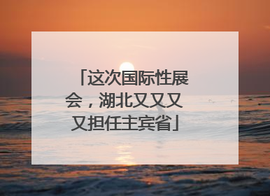 这次国际性展会，湖北又又又又担任主宾省