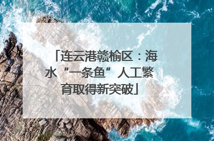 连云港赣榆区：海水“一条鱼”人工繁育取得新突破