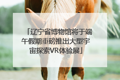 辽宁省博物馆将于端午假期重磅推出大型宇宙探索VR体验展