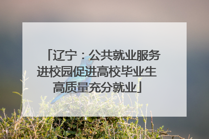 辽宁：公共就业服务进校园促进高校毕业生高质量充分就业