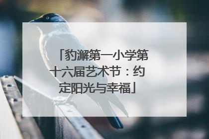 豹澥第一小学第十六届艺术节：约定阳光与幸福