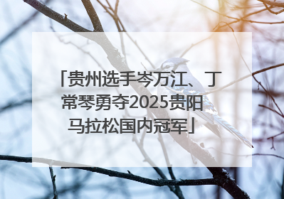 贵州选手岑万江、丁常琴勇夺2025贵阳马拉松国内冠军