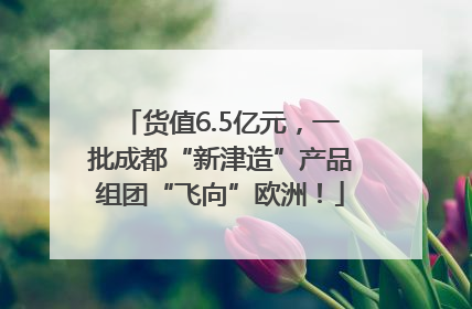 货值6.5亿元，一批成都“新津造”产品组团“飞向”欧洲！