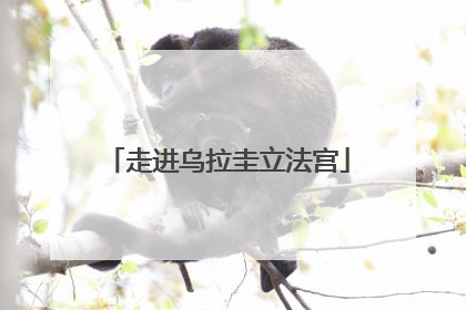 走进乌拉圭立法宫