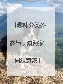 趣味分类齐参与，瀛海家园绿意浓