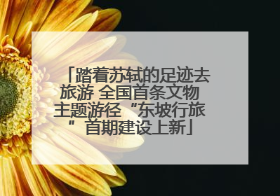 踏着苏轼的足迹去旅游 全国首条文物主题游径“东坡行旅”首期建设上新