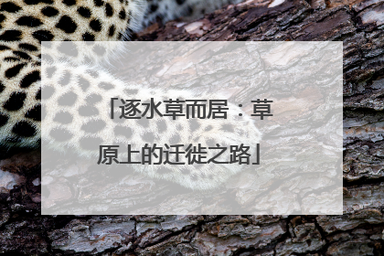 逐水草而居：草原上的迁徙之路
