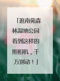 逛南苑森林湿地公园看到这样的照相机，千万别动！