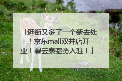逛街又多了一个新去处！京东mall双井店开业！碧云泉强势入驻！