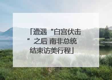 遭遇“白宫伏击”之后 南非总统结束访美行程