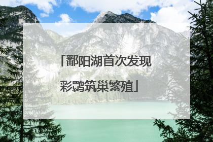 鄱阳湖首次发现彩鹮筑巢繁殖