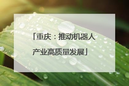 重庆：推动机器人产业高质量发展