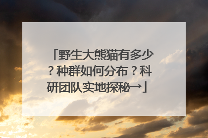 野生大熊猫有多少？种群如何分布？科研团队实地探秘→