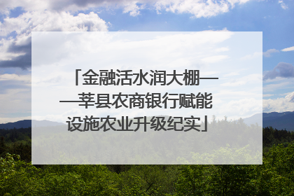 金融活水润大棚——莘县农商银行赋能设施农业升级纪实
