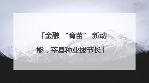 金融 “育苗” 新动能，莘县种业拔节长