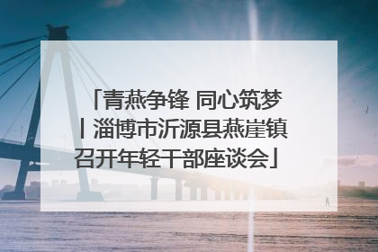 青燕争锋 同心筑梦丨淄博市沂源县燕崖镇召开年轻干部座谈会