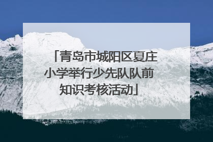 青岛市城阳区夏庄小学举行少先队队前知识考核活动