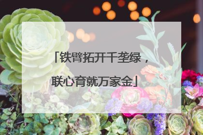 铁臂拓开千垄绿，联心育就万家金