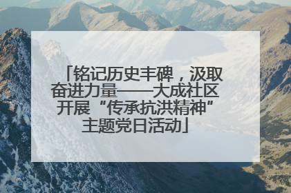 铭记历史丰碑，汲取奋进力量——大成社区开展“传承抗洪精神”主题党日活动