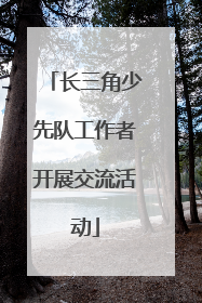 长三角少先队工作者开展交流活动