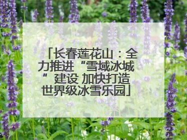 长春莲花山：全力推进“雪域冰城”建设 加快打造世界级冰雪乐园