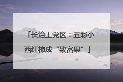 长治上党区：五彩小西红柿成“致富果”