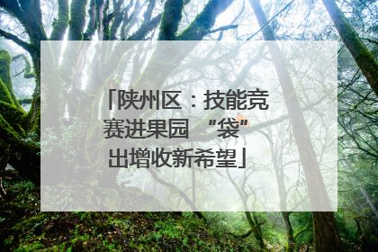 陕州区：技能竞赛进果园 “袋”出增收新希望