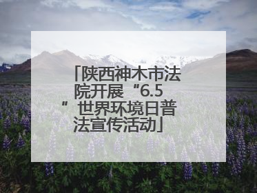 陕西神木市法院开展“6.5”世界环境日普法宣传活动