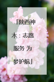 陕西神木：志愿服务 为梦护航