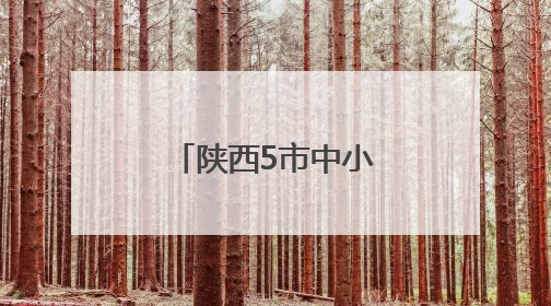陕西5市中小学、幼儿园暑假时间已公布！